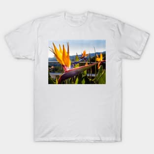 Bird of Paradise Flower On Linen T-Shirt